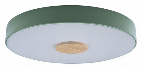 Потолочный светильник Loft IT Axel 10003/24 Green