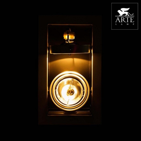 Точечный встраиваемый светильник Arte Lamp Cardani A5930PL-2WH