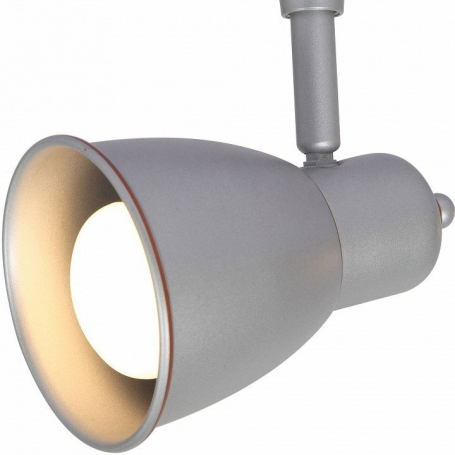 Потолочный светильник Arte Lamp 3058 A3058PL-1SI