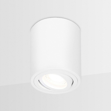 Потолочный светильник Ambrella light Techno Spot TN225