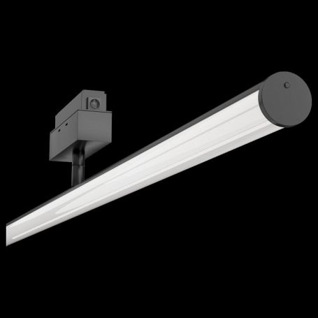 Трековый светодиодный светильник Maytoni Track lamps TR026-2-14B3K