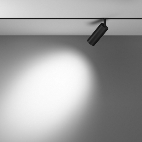 Светильник на штанге Maytoni Focus LED TR032-4-12WTW-M-DD2-B