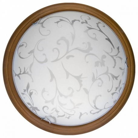 Настенно-потолочный светильник Toplight Daniela TL9530Y-00OA