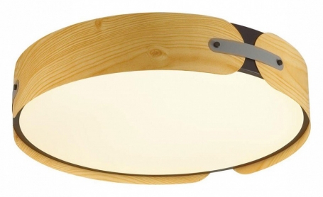Потолочный светильник Coraggio 7721/65L
