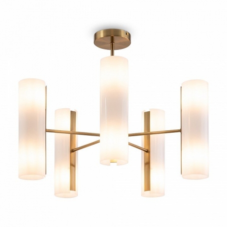 Потолочная люстра Fiore FR5368CL-10BS