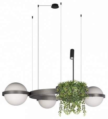 Подвесной светильник Jardin 10121/3 Dark grey