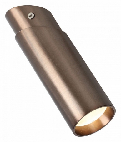Потолочный светодиодный светильник Favourite Insuper 2798-1U