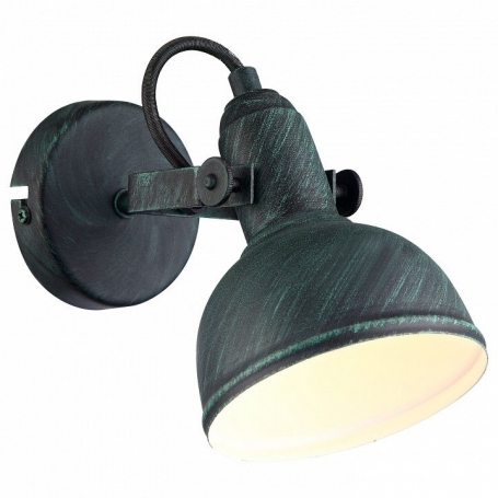 Настенно-потолочный светильник Arte Lamp Martin A5213AP-1BG