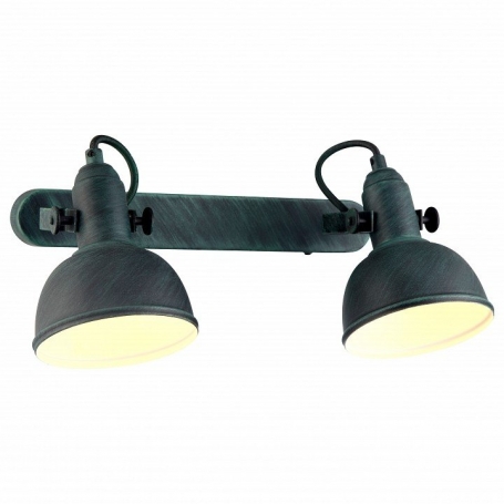 Настенно-потолочный светильник Arte Lamp Martin A5213AP-2BG