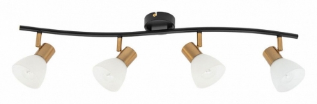 Спот Arte Lamp Falena A3117PL-4BK