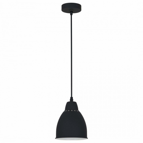 Подвесной светильник Arte Lamp Braccio A2054SP-1BK