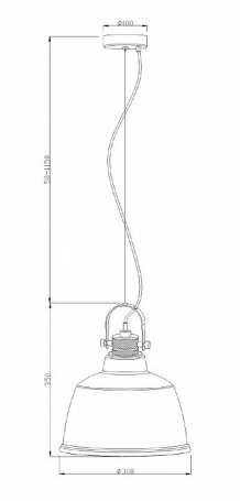 Подвесной светильник Maytoni Irving T163PL-01C