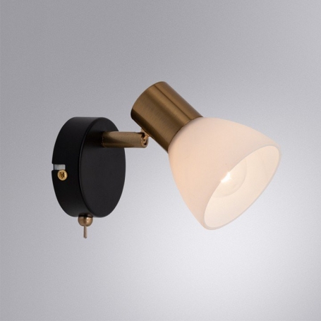 Подвесной светильник Arte Lamp Braccio A2055SP-1AB