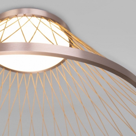 Потолочный светильник Cesta 40019/1 LED коричневый