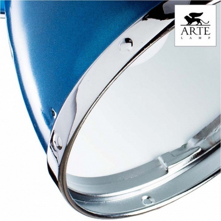 Настенно-потолочный светильник Arte Lamp Marted A2215AP-2BL