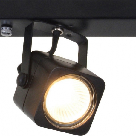 Настенно-потолочный светильник Arte Lamp Lente A1314PL-4BK