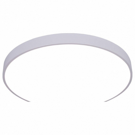 Потолочный светодиодный светильник Arte Lamp Arena A2671PL-1WH