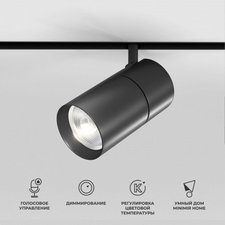 Торшер Maytoni Modern MOD221FL-01N