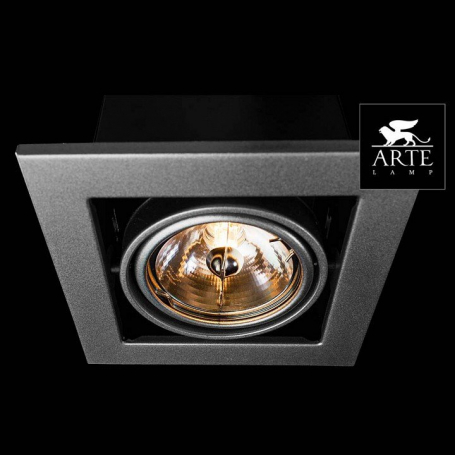 Точечный встраиваемый светильник Arte Lamp Cardani A5930PL-1SI