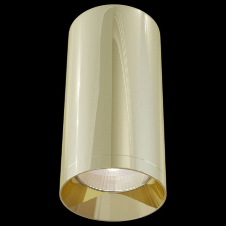 Потолочный светильник Maytoni Alfa C010CL-01G