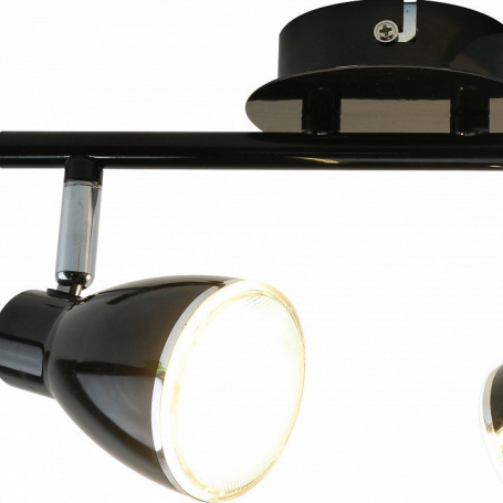 Настенно-потолочный светильник Arte Lamp Gioved A6008PL-2BK