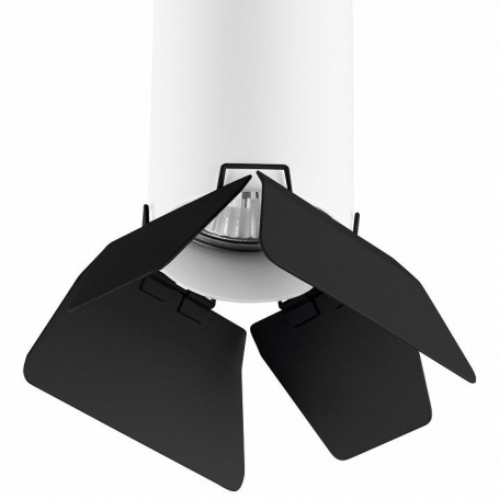 Точечный светильник Lightstar Rullo R436437