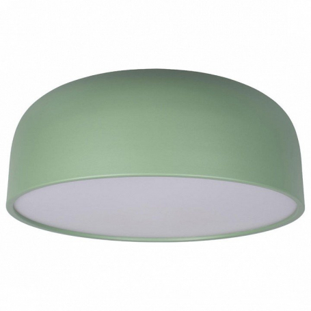 Потолочный светильник Loft IT Axel 10201/480 Green