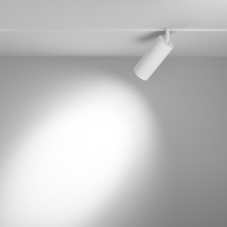 Трековый светильник Focus Led TR032-4-20WTW-M-DSZ-W