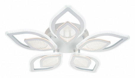 Потолочная люстра Anise 10288/10LED