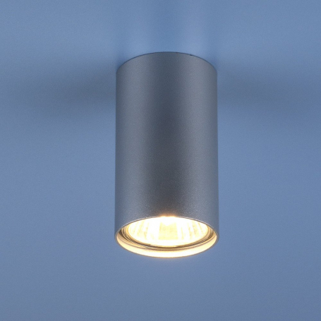 Точечный светильник Elektrostandard 1081 GU10 SL серебро (5257)