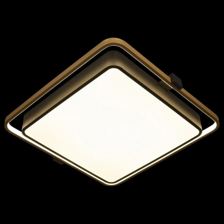 Потолочный светильник Loft IT Mike 10172