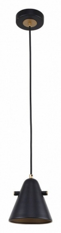 Подвесной светильник F-Promo Rigor 2844-1P