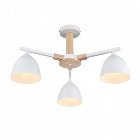 Накладной светильник Ambrella Light FL FL51393