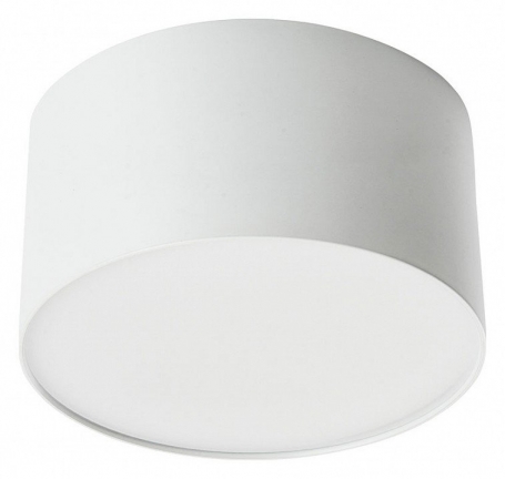 Потолочный светодиодный светильник Feron Simple matte AL200 48074