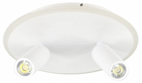 Настенно-потолочный светильник Escada  20046LED 20046SMA/02LED WH