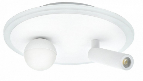 Настенно-потолочный светильник Escada 20022LED 20022SMA/01LED SWH