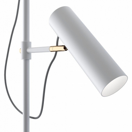 Торшер Maytoni Bansky MOD129FL-01W