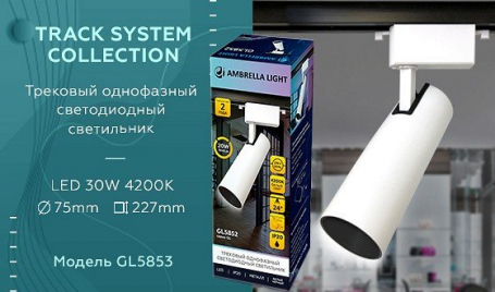 Трековый светодиодный светильник Ambrella light Track System GL5853