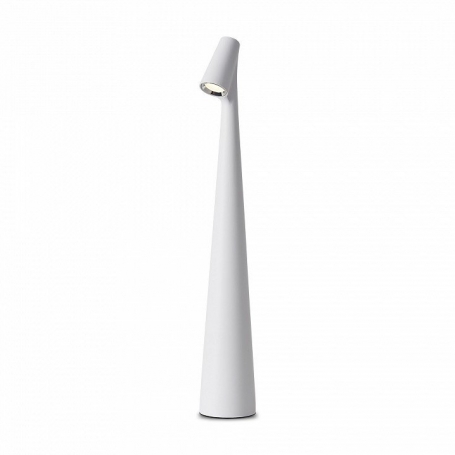 Интерьерная настольная лампа Clam FR6188TL-L3W