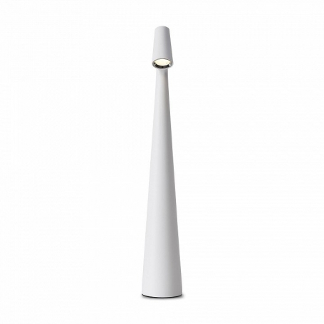 Интерьерная настольная лампа Clam FR6188TL-L3W