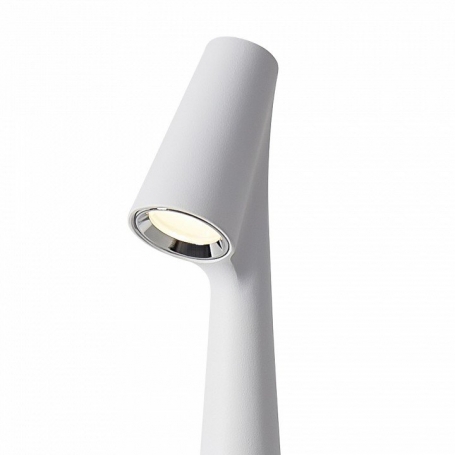 Интерьерная настольная лампа Clam FR6188TL-L3W
