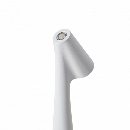 Интерьерная настольная лампа Clam FR6188TL-L3W