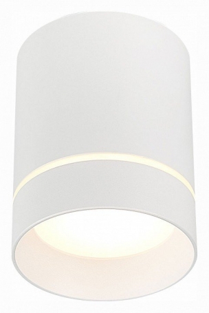 Потолочный светодиодный светильник ST Luce ST115.542.07