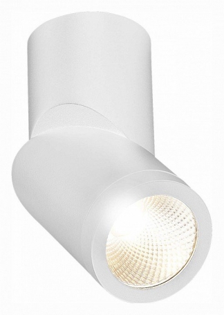 Светодиодный спот ST Luce ST650.532.10