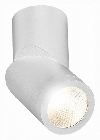 Светодиодный спот ST Luce ST650.542.10