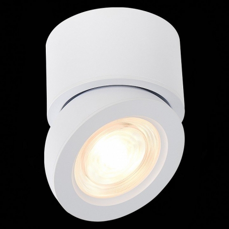 Светодиодный спот ST Luce ST654.542.10