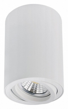 Точечный светильник Sentry A1566PL-1WH