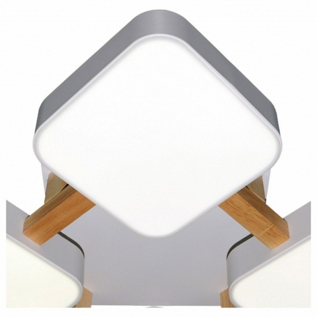 Потолочная люстра Natali Kovaltseva LED LED LAMPS 81323