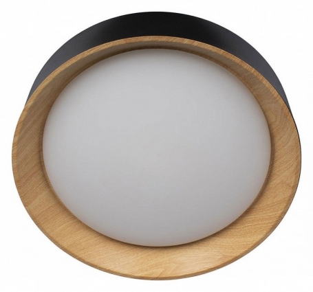 Потолочный светильник Loft IT Coin 10202 Black