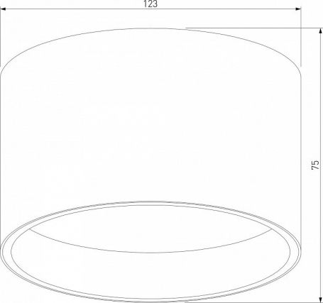 Потолочный светодиодный светильник Elektrostandard 25123/Led Banti 13Вт 4200K a058847
